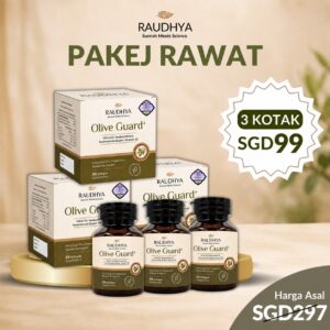 PAKEJ RAWAT {Raya Pack}