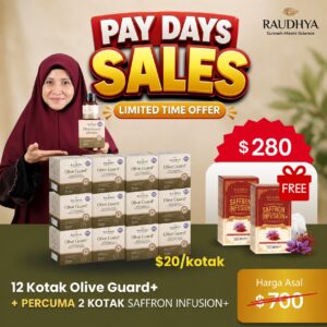 PAKEJ V.I.P 12 kotak ( pay DAY PROMO )